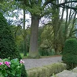 Chateau D'osthoffen Alsace Konukevi