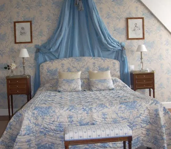 Gasthuis Chateau D'Osthoffen Alsace 4*